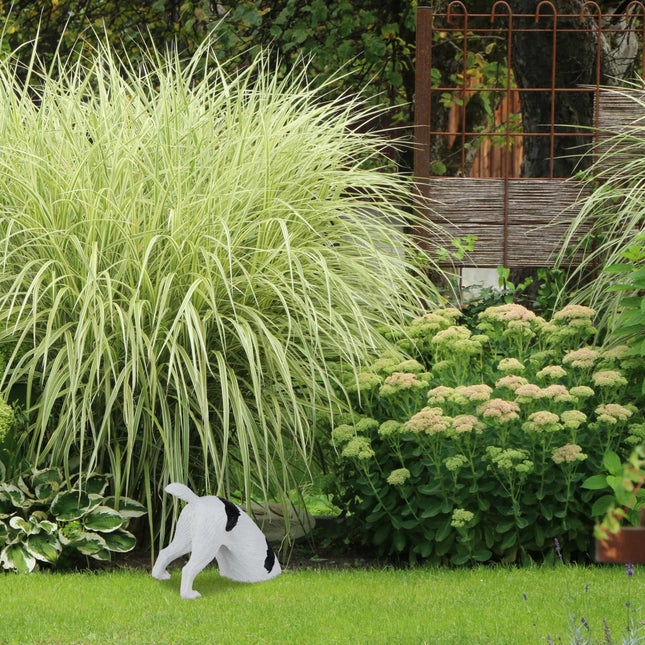 Garden figure digging dog