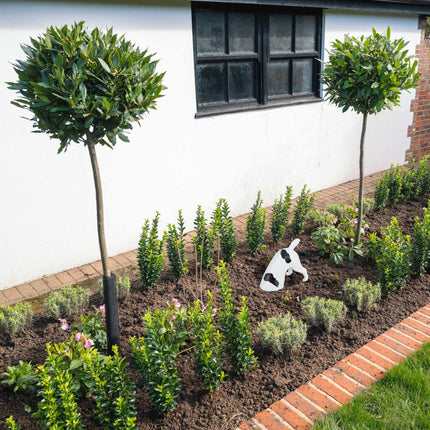 Garden figure digging dog