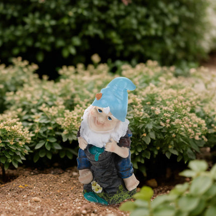 Garden gnome with water bucket