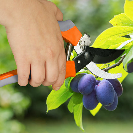 Garden shears Bypass in grey-orange