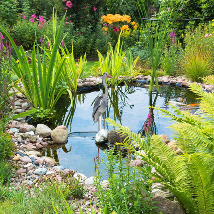 Garden statue heron