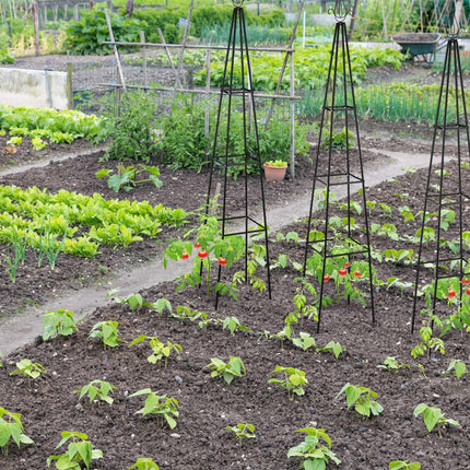 Garden trellis metal with lace