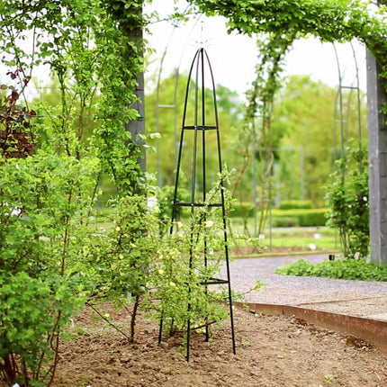 Garden trellis metal with lace