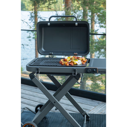 Gas grill Fold