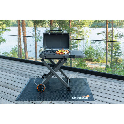 Gas grill Fold