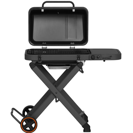 Gas grill Fold