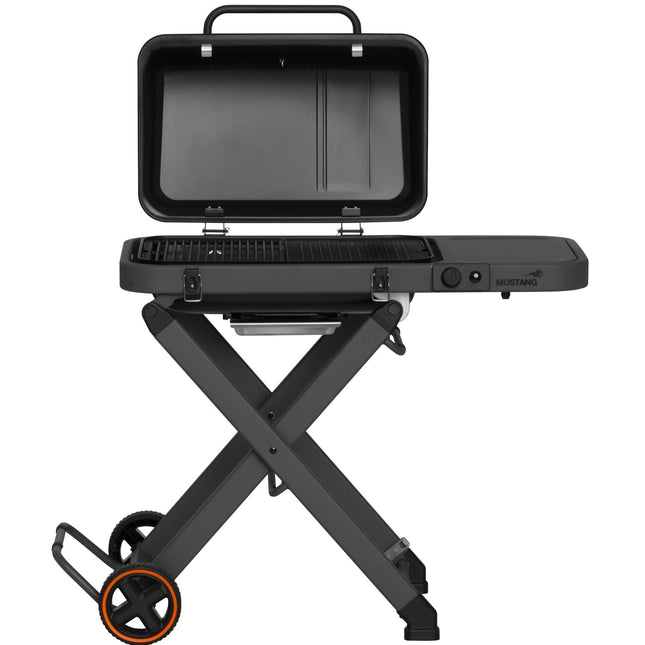 Gas grill Fold