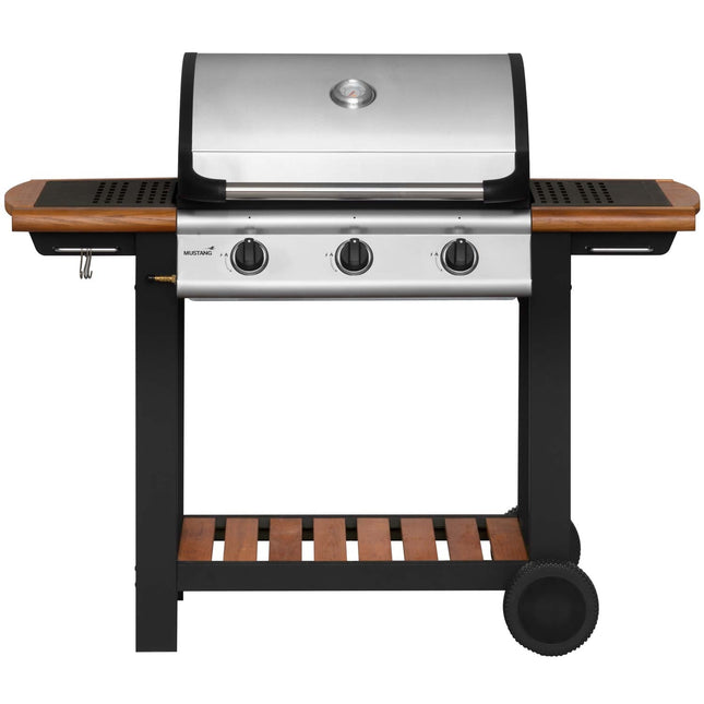 Gas grill Greenville 3