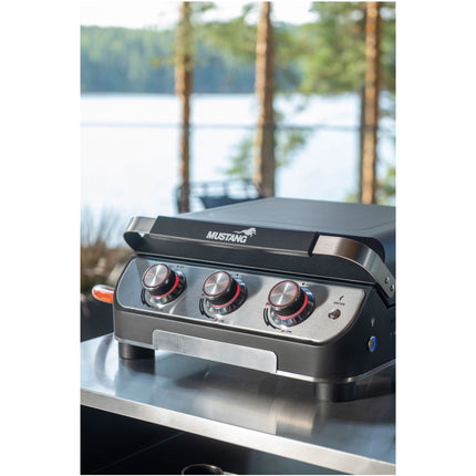 Gas grill Plate 3