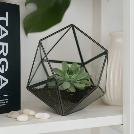 Geometric Glass Terrarium for Cacti and Succulents