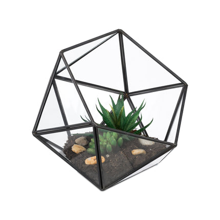 Geometric Glass Terrarium for Cacti and Succulents