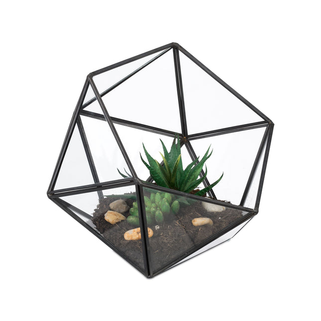 Geometric Glass Terrarium for Cacti and Succulents