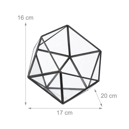 Geometric Glass Terrarium for Cacti and Succulents