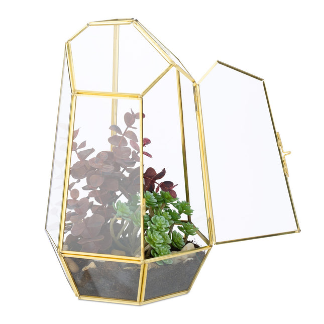 Geometric Glass Terrarium for Succulents & Air Plants