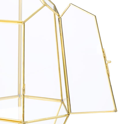 Geometric Glass Terrarium for Succulents & Air Plants