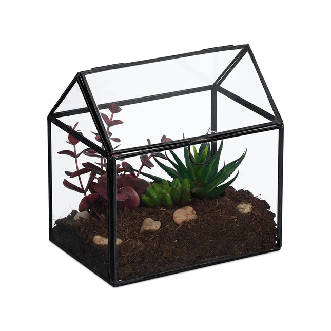 Glass Plant Terrarium, House Shape, Compact Size