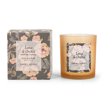 Glass Scented Candles, Natural Wax, 40-Hour Burn