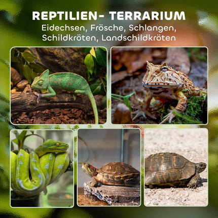 Glass Terrarium for Reptiles, Waterproof Base, Secure Lock