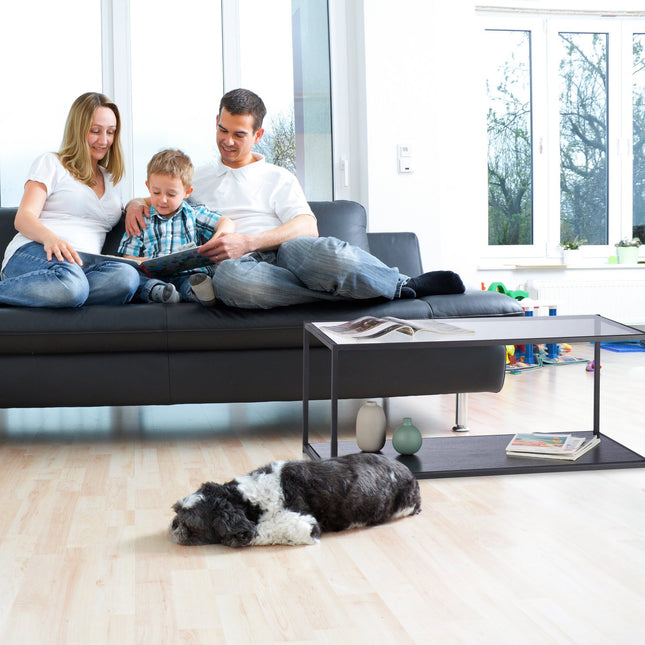 Glass coffee table