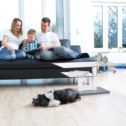 Glass coffee table