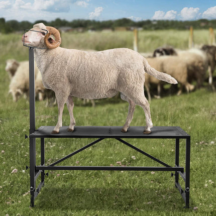 Goat And Sheep Stand, 47x23 In, 21–33 In Adjustable, 500 lb