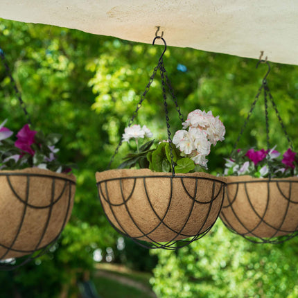 Grapevine Set of 3 with coconut inlays