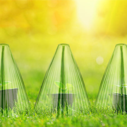 Green Plant Protection Cones, Set of 32