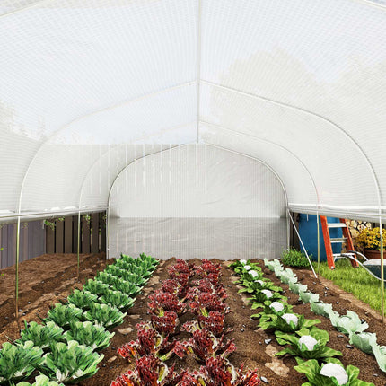 Kas 6 x 3 x 2 m foliekas met 8 ramen en deuren, oprolbare zijwanden, UV-bestendige folietunnel, tomatenhuis met gegalvaniseerd stalen frame, wit