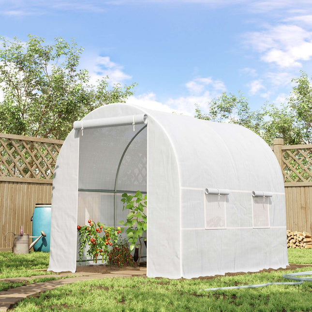 Greenhouse film for plants, 245x200x200 cm