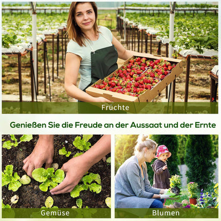 Greenhouse Tomato House, Robust Weather Resistant 180x90x90Cm