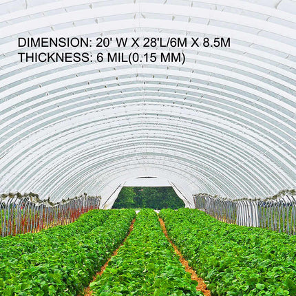 Greenhouse Polyethylene Film 20 x 28 ft, 6 Mil