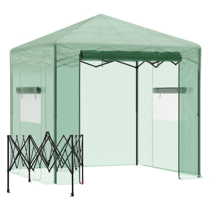 Kas tomatenhuis met deur en raam om op te rollen, PE staal donkergroen 238 x 178 x 240 cm voor optimale plantenteelt