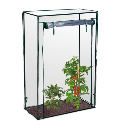 Greenhouse tomato cultivation