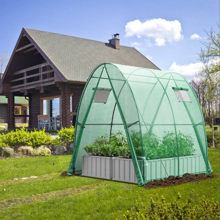 Greenhouse with PE Cover, Roll-Up Door & Windows, 181x181x200 cm