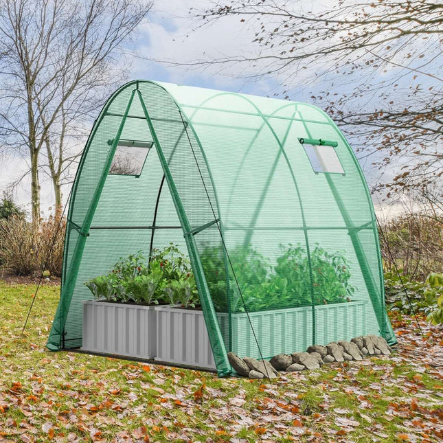 Greenhouse with PE Cover, Roll-Up Door & Windows, 181x181x200 cm