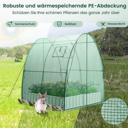 Greenhouse with PE Cover, Roll-Up Door & Windows, 181x181x200 cm