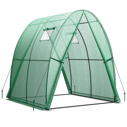 Greenhouse with PE Cover, Roll-Up Door & Windows, 181x181x200 cm