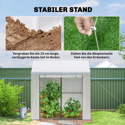 Greenhouse with Roll-Up Door, 200x200x140 cm, White/Green