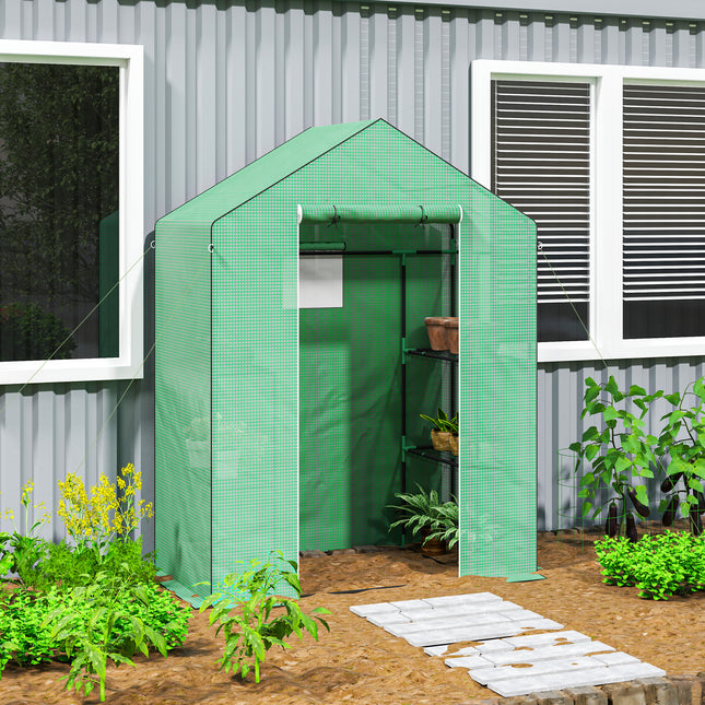 Greenhouse with shelves and roller door for tomatoes