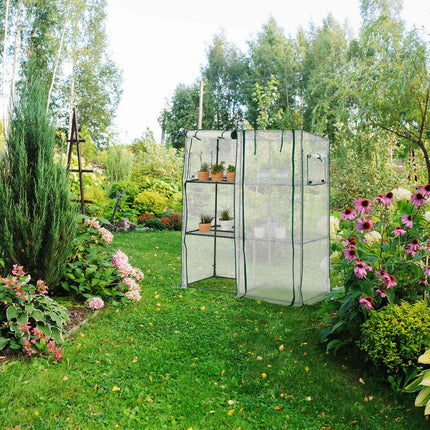 Greenhouse with shelves
