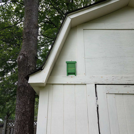 Green wooden bat box