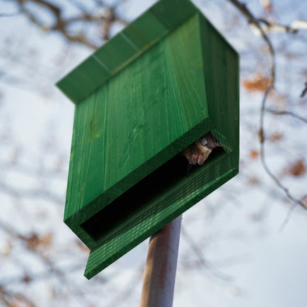 Green wooden bat box