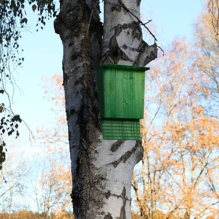 Green wooden bat box