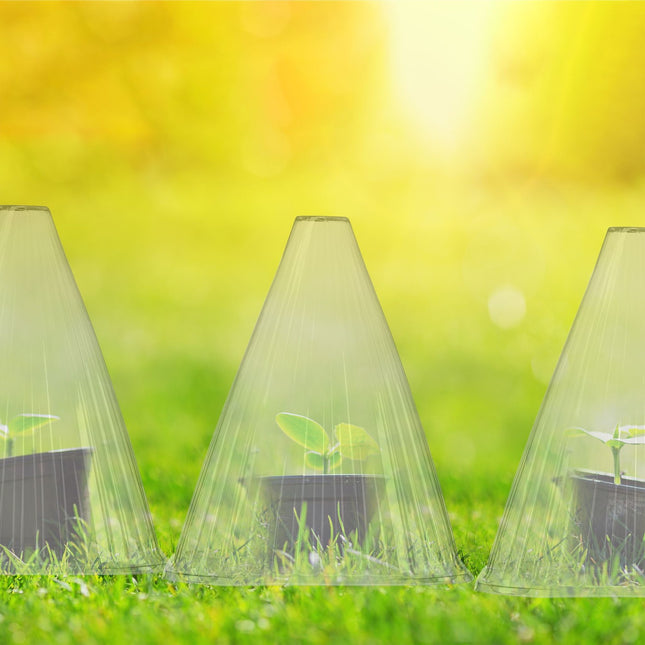 Grey Plant Protection Cones, Set of 32