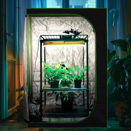 Grow box indoors