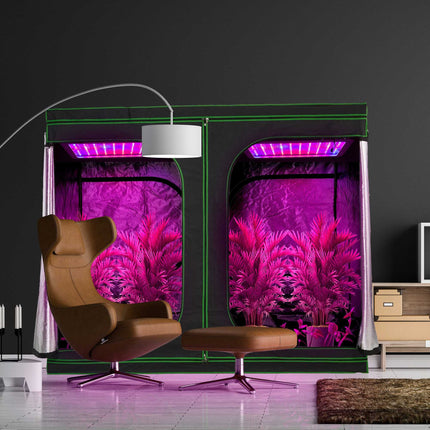 Grow box indoors