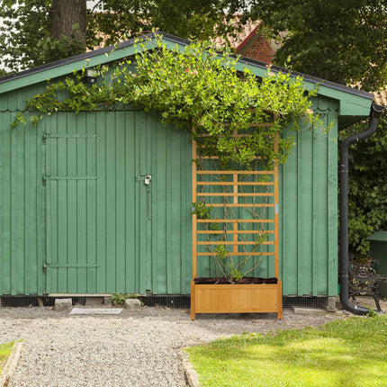 Growing box with trellis