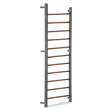 Gymnastic Wall Bars 230.5 cm with 11 Rungs for Home Gym, Wall Mounted, Graphite