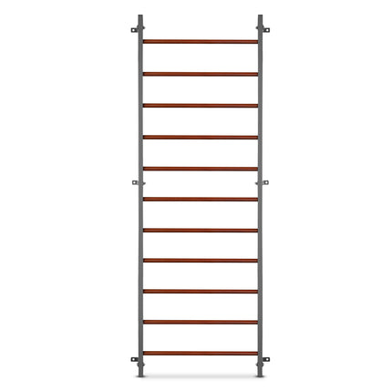 Gymnastic Wall Bars 230.5 cm with 11 Rungs for Home Gym, Wall Mounted, Graphite