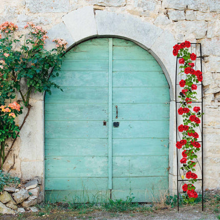 Half rose arch for mounting on the wall